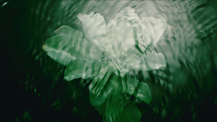 黎全能乳送菁纯眼霜5ml！入冬速囤不朽情缘终于蹲到了！299元抢希思(图13)